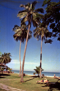 Penang g