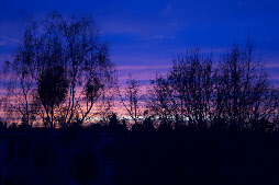 sunset 6