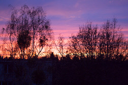 sunset 4