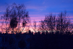 sunset 5