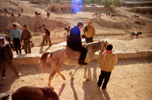 Jordanien -g