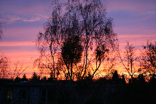 sunset 3