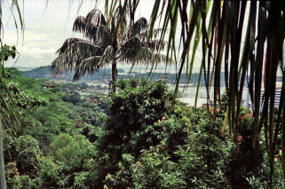 Bali c