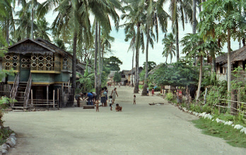 Sicogon b
