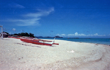 Sicogon d