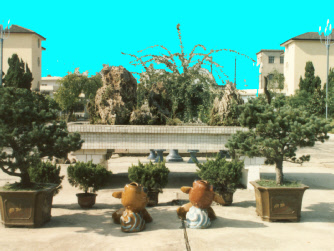 Maanshan-5