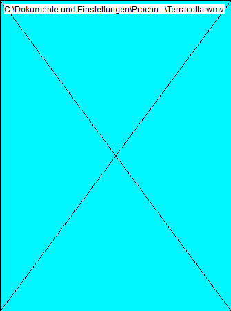Terracotta.wmv