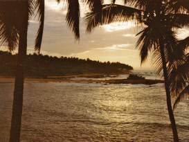 Sri Lanka-4c