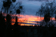 sunset 1