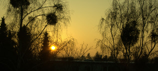 sunset 2